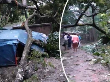 Bangladesh: Maximum wind speed of Bulbul was in Khepupara